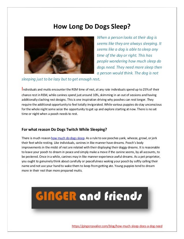 Reason To Find Why Do Dogs Sleep So Much