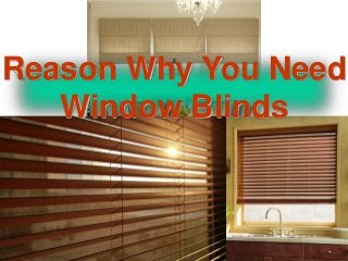 Reason Why You Need
Window Blinds
 