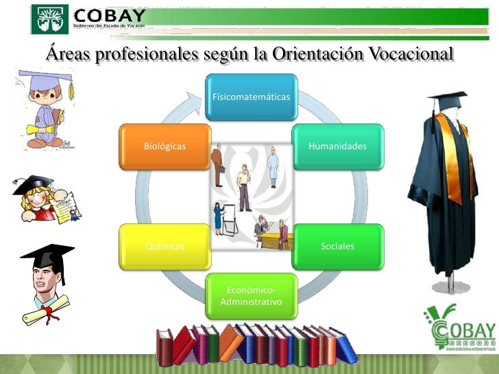 áreas De Profesionistas En Actividades Acordes Con Sus Estudios