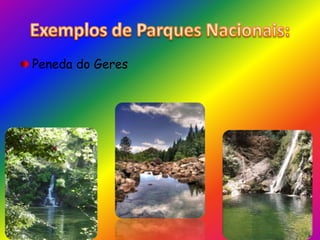 Exemplos de Parques Nacionais:Peneda do Geres 