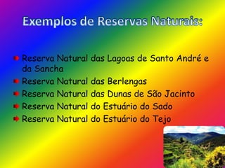 Exemplos de Reservas Naturais:Reserva Natural das Lagoas de Santo André e da SanchaReserva Natural das BerlengasReserva Natural das Dunas de São JacintoReserva Natural do Estuário do SadoReserva Natural do Estuário do Tejo