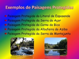 Exemplos de Paisagens ProtegidasPaisagem Protegida do Litoral de EsposendePaisagem Protegida da Serra do AçorPaisagem Protegida do Corno do BicoPaisagem Protegida da Albufeira do AziboPaisagem Protegida da Serra de Montejunto