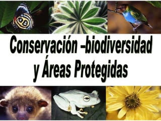 Conservación –biodiversidad y Áreas Protegidas 