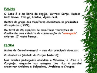 FAUNA
O Lobo é o ex-libris da região. Outros: Corço, Raposa,
Gato bravo, Texugo, Lontra, Águia-real.
Dentro do grupo dos mamíferos encontram-se presentes
48 espécies ( 75%);
Do total de 28 espécies de mamíferos terrestres do
Continente com estatuto de conservação de "ameaçado"
existem 17 neste Parque.
FLORA
Matas de Carvalho-negral - uma das principais riquezas;
Castanheiros (símbolo do Parque Natural);
Nos montes pedregosos abundam o Vidoeiro, a Urze e a
Carqueja, enquanto nas margens dos rios é possível
encontrar Amieiros e Salgueiros, Aveleiras e Choupos.
 