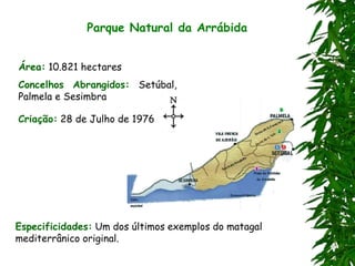 Parque Natural da Arrábida
Área: 10.821 hectares
Concelhos Abrangidos: Setúbal,
Palmela e Sesimbra
Criação: 28 de Julho de 1976
Especificidades: Um dos últimos exemplos do matagal
mediterrânico original.
 