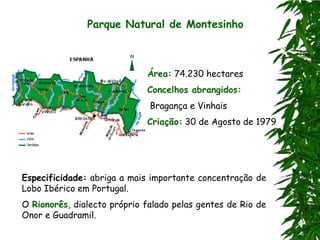 Parque Natural de Montesinho



                             Área: 74.230 hectares
                             Concelhos abrangidos:
                              Bragança e Vinhais
                             Criação: 30 de Agosto de 1979




Especificidade: abriga a mais importante concentração de
Lobo Ibérico em Portugal.
O Rionorês, dialecto próprio falado pelas gentes de Rio de
Onor e Guadramil.
 