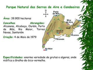 Parque Natural das Serras de Aire e Candeeiros


Área: 39.900 hectares
Concelhos            Abrangidos:
Alcanena, Alcobaça, Ourém, Porto
de Mós, Rio Maior, Torres
Novas, Santarém
Criação: 4 de Maio de 1979




Especificidades: enorme variedade de grutas e algares, onde
nidifica a Gralha-de-bico-vermelho.
 