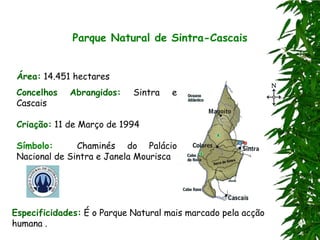 Parque Natural de Sintra-Cascais


 Área: 14.451 hectares
 Concelhos   Abrangidos:    Sintra   e
 Cascais

 Criação: 11 de Março de 1994

 Símbolo:      Chaminés do Palácio
 Nacional de Sintra e Janela Mourisca




Especificidades: É o Parque Natural mais marcado pela acção
humana .
 
