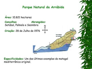 Parque Natural da Arrábida


Área: 10.821 hectares
Concelhos             Abrangidos:
Setúbal, Palmela e Sesimbra

Criação: 28 de Julho de 1976




Especificidades: Um dos últimos exemplos do matagal
mediterrânico original.
 