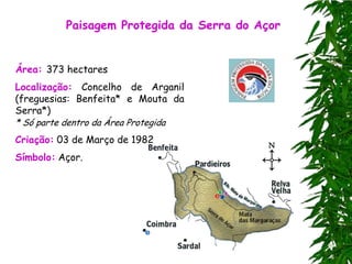 Paisagem Protegida da Serra do Açor


Área: 373 hectares
Localização: Concelho de Arganil
(freguesias: Benfeita* e Mouta da
Serra*)
* Só parte dentro da Área Protegida
Criação: 03 de Março de 1982
Símbolo: Açor.
 
