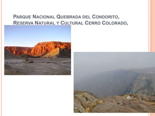 PARQUE NACIONAL QUEBRADA DEL CONDORITO,
RESERVA NATURAL Y CULTURAL CERRO COLORADO,
 