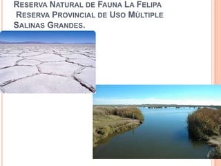 RESERVA NATURAL DE FAUNA LA FELIPA
RESERVA PROVINCIAL DE USO MÚLTIPLE
SALINAS GRANDES.
 
