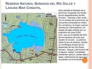RESERVA NATURAL BAÑADOS DEL RÍO DULCE Y
LAGUNA MAR CHIQUITA,
                             Esta ubicada al Noreste de la
                             provincia ,ocupando los límites
                             de los departamentos de Río
                             Primero , Tulumba y San Justo.
                              En el noreste de la provincia, se
                             encuentra enclavada en medio
                             de una llanura, la mayor cuenca
                             cerrada de Latinoamérica. Un
                             espejo de agua salada con un
                             extensión de unos 6.000
                             km2 que es el habitad del 25%
                             de las especies de aves que
                             existen en el país. La planicie
                             sobre la que se asienta, cambia
                             su morfología al paso de los
                             desbordes de los ríos Dulce,
                             Xanaes, Suquia y del avance de
                             la laguna. Islotes, humedales,
                             ambientes salinos, costas altas y
                             bajas, extensiones de agua que
                             se pierden en el horizonte.
 
