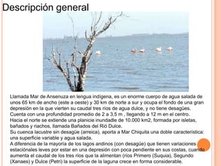 Descripción general




 Llamada Mar de Ansenuza en lengua indígena, es un enorme cuerpo de agua salada de
 unos 65 km de ancho (este a oeste) y 30 km de norte a sur y ocupa el fondo de una gran
 depresión en la que vierten su caudal tres ríos de agua dulce, y no tiene desagües.
 Cuenta con una profundidad promedio de 2 a 3,5 m , llegando a 12 m en el centro.
 Hacia el norte se extiende una planicie inundadle de 10.000 km2, formada por isletas,
 bañados y riachos, llamada Bañados del Rió Dulce.
 Su cuenca lacustre sin desagüe (arreica), aporta a Mar Chiquita una doble característica:
 una superficie variable y agua salada.
 A diferencia de la mayoría de los lagos andinos (con desagüe) que tienen variaciones
 estaciónales leves por estar en una depresión con poca pendiente en sus costas, cuando
 aumenta el caudal de los tres ríos que la alimentan (ríos Primero (Suquia), Segundo
 (Xanaes) y Dulce (Petri) la superficie de la laguna crece en forma considerable.
 
