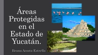 Áreas
Protegidas
en el
Estado de
Yucatán.
 