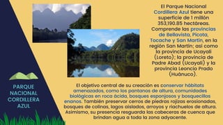 PARQUE
NACIONAL
CORDILLERA
AZUL
El Parque Nacional
Cordillera Azul tiene una
superficie de 1 millón
353,190.85 hectáreas.
Comprende las provincias
de Bellavista, Picota,
Tocache y San Martín, en la
región San Martín; así como
la provincia de Ucayali
(Loreto); la provincia de
Padre Abad (Ucayali) y la
provincia Leoncio Prado
(Huánuco).
El objetivo central de su creación es conservar hábitats
amenazados, como los pantanos de altura, comunidades
biológicas en roca ácida, bosques esponjosos y bosquecillos
enanos. También preservar cerros de piedras rojizas erosionadas,
bosques de colinas, lagos aislados, arroyos y riachuelos de altura.
Asimismo, su presencia resguarda las cabeceras de cuenca que
brindan agua a toda la zona adyacente.
 