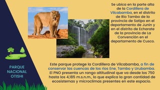 PARQUE
NACIONAL
OTISHI
Se ubica en la parte alta
de la Cordillera de
Vilcabamba, en el distrito
de Río Tambo de la
provincia de Satipo en el
departamento de Junín y
en el distrito de Echarate
de la provincia de La
Convención en el
departamento de Cusco.
Este parque protege la Cordillera de Vilcabamba, a fin de
conservar las cuencas de los ríos Ene, Tambo y Urubamba.
El PNO presenta un rango altitudinal que va desde los 750
hasta los 4,185 m.s.n.m., lo que explica la gran cantidad de
ecosistemas y microclimas presentes en este espacio.
 