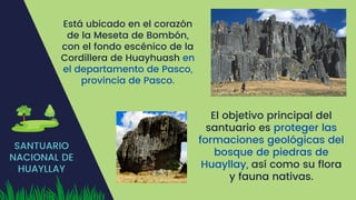 SANTUARIO
NACIONAL DE
HUAYLLAY
Está ubicado en el corazón
de la Meseta de Bombón,
con el fondo escénico de la
Cordillera de Huayhuash en
el departamento de Pasco,
provincia de Pasco.​
El objetivo principal del
santuario es proteger las
formaciones geológicas del
bosque de piedras de
Huayllay, así como su flora
y fauna nativas.
 