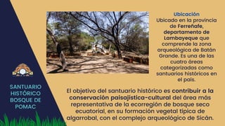 SANTUARIO
HISTÓRICO
BOSQUE DE
POMAC
Ubicación
Ubicado en la provincia
de Ferreñafe,
departamento de
Lambayeque que
comprende la zona
arqueológica de Batán
Grande. Es una de las
cuatro áreas
categorizadas como
santuarios históricos en
el país.
El objetivo del santuario histórico es contribuir a la
conservación paisajística-cultural del área más
representativa de la ecorregión de bosque seco
ecuatorial, en su formación vegetal típica de
algarrobal, con el complejo arqueológico de Sicán.
 