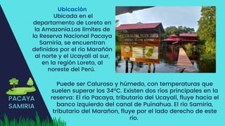 PACAYA
SAMIRIA
Ubicación
Ubicada en el
departamento de Loreto en
la Amazonia.Los límites de
la Reserva Nacional Pacaya
Samiria, se encuentran
definidos por el río Marañón
al norte y el Ucayali al sur,
en la región Loreto, al
noreste del Perú.
Puede ser Caluroso y húmedo, con temperaturas que
suelen superar los 34°C. Existen dos ríos principales en la
reserva: El río Pacaya, tributario del Ucayali, fluye hacia el
banco izquierdo del canal de Puinahua. El río Samiria,
tributario del Marañon, fluye por el lado derecho de este
río.
 