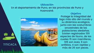 TITICACA
Ubicación
En el departamento de Puno, en las provincias de Puno y
Huancané.
Objetivo
Protege la integridad del
lago más alto del mundo y
su dinámica ecológica,
junto con las costumbres
ancestrales de las
poblaciones aledañas.
Existen registradas 159
especies de fauna, de las
cuales 15 son mamíferos,
105 son aves, 9 son
anfibios, 4 son reptiles y
más de 26 son peces.
 