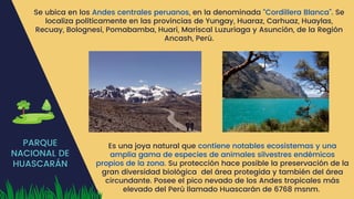 PARQUE
NACIONAL DE
HUASCARÁN
Se ubica en los Andes centrales peruanos, en la denominada “Cordillera Blanca”. Se
localiza políticamente en las provincias de Yungay, Huaraz, Carhuaz, Huaylas,
Recuay, Bolognesi, Pomabamba, Huari, Mariscal Luzuriaga y Asunción, de la Región
Ancash, Perú.
Es una joya natural que contiene notables ecosistemas y una
amplia gama de especies de animales silvestres endémicos
propios de la zona. Su protección hace posible la preservación de la
gran diversidad biológica del área protegida y también del área
circundante. Posee el pico nevado de los Andes tropicales más
elevado del Perú llamado Huascarán de 6768 msnm.
 