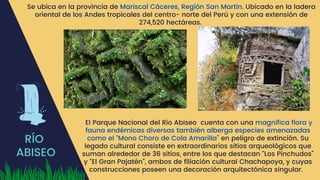 RÍO
ABISEO
Se ubica en la provincia de Mariscal Cáceres, Región San Martín. Ubicado en la ladera
oriental de los Andes tropicales del centro- norte del Perú y con una extensión de
274,520 hectáreas.
El Parque Nacional del Río Abiseo cuenta con una magnifica flora y
fauna endémicas diversas también alberga especies amenazadas
como el “Mono Choro de Cola Amarilla” en peligro de extinción. Su
legado cultural consiste en extraordinarios sitios arqueológicos que
suman alrededor de 36 sitios, entre los que destacan “Los Pinchudos”
y “El Gran Pajatén”, ambos de filiación cultural Chachapoya, y cuyas
construcciones poseen una decoración arquitectónica singular.
 