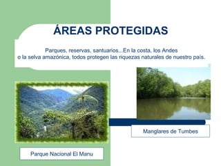 ÁREAS PROTEGIDAS Manglares de Tumbes Parque Nacional El Manu Parques, reservas, santuarios...En la costa, los Andes o la selva amazónica, todos protegen las riquezas naturales de nuestro país. 