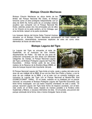 Biotopo Chocón Machacas
Biotopo Chocón Machacas se ubica dentro de los
límites del Parque Nacional Río Dulce, el Biotopo
funciona como un área protegida independiente; con un
área de 6245 Ha, forma parte de un complejo sistema
acuático que comparte con el Parque Nacional Río
Dulce, además posee dos ríos principales uno de ellos
el río Chocón en la parte central y el río Ciénaga, que
sirve de límite natural en la parte occidental.
Los bosques típicos del bioma Selva Tropical Lluviosa
ubicados en el Biotopo Chocón Machacas permanecen en buen estado de
conservación, observándose numerosas especies de aves así como otros
elementos de fauna de este bioma.
Biotopo Laguna del Tigre
La Laguna del Tigre se encuentra al norte de
Guatemala, en el municipio de San Andrés,
departamento de Petén. Se trata de una zona de
protección compuesta por dos áreas con diferentes
categorías de manejo, el Parque Nacional Laguna
del Tigre y el Biotopo Protegido Laguna del Tigre-Río
Escondido. Ambas forman parte de las zonas
núcleos de la Reserva de la Biosfera Maya (RBM), el
área de bosque tropical más importante del país.
El Parque Nacional Laguna del Tigre limita al norte, oeste y partes del este con la
zona de uso múltiple de la RBM; al sur con los Ríos San Pedro y Sacluc, y con la
zona de uso múltiple de la RBM, y en el este con un corredor biológico que
comunica la Laguna del Tigre con el Parque Nacional el Mirador-Río Azul
(CEMEC/CONAP, 1999a). En el oeste, rodeado en su totalidad por el parque
nacional, se encuentra el Biotopo Protegido Laguna del Tigre-Río Escondido, que
tiene forma rectangular, con sus lados mayores orientados de este a oeste. El
parque nacional Laguna del Tigre tiene forma de trapecio acostado, con el lado
más ancho en el límite oeste, trazado de manera paralela a la frontera entre
Guatemala y México, a escasos kilómetros de ésta. En el sureste, una porción del
parque sobresale de la forma más o menos triangular hacia el este.
 
