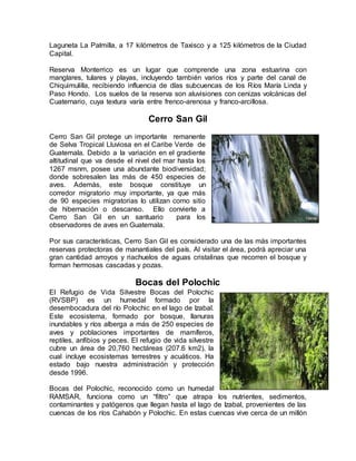 Laguneta La Palmilla, a 17 kilómetros de Taxisco y a 125 kilómetros de la Ciudad
Capital.
Reserva Monterrico es un lugar que comprende una zona estuarina con
manglares, tulares y playas, incluyendo también varios ríos y parte del canal de
Chiquimulilla, recibiendo influencia de dlas subcuencas de los Ríos María Linda y
Paso Hondo. Los suelos de la reserva son aluvisiones con cenizas volcánicas del
Cuaternario, cuya textura varía entre frenco-arenosa y franco-arcillosa.
Cerro San Gil
Cerro San Gil protege un importante remanente
de Selva Tropical Lluviosa en el Caribe Verde de
Guatemala. Debido a la variación en el gradiente
altitudinal que va desde el nivel del mar hasta los
1267 msnm, posee una abundante biodiversidad;
donde sobresalen las más de 450 especies de
aves. Además, este bosque constituye un
corredor migratorio muy importante, ya que más
de 90 especies migratorias lo utilizan como sitio
de hibernación o descanso. Ello convierte a
Cerro San Gil en un santuario para los
observadores de aves en Guatemala.
Por sus características, Cerro San Gil es considerado una de las más importantes
reservas protectoras de manantiales del país. Al visitar el área, podrá apreciar una
gran cantidad arroyos y riachuelos de aguas cristalinas que recorren el bosque y
forman hermosas cascadas y pozas.
Bocas del Polochic
El Refugio de Vida Silvestre Bocas del Polochic
(RVSBP) es un humedal formado por la
desembocadura del río Polochic en el lago de Izabal.
Este ecosistema, formado por bosque, llanuras
inundables y ríos alberga a más de 250 especies de
aves y poblaciones importantes de mamíferos,
reptiles, anfibios y peces. El refugio de vida silvestre
cubre un área de 20,760 hectáreas (207.6 km2), la
cual incluye ecosistemas terrestres y acuáticos. Ha
estado bajo nuestra administración y protección
desde 1996.
Bocas del Polochic, reconocido como un humedal
RAMSAR, funciona como un “filtro” que atrapa los nutrientes, sedimentos,
contaminantes y patógenos que llegan hasta el lago de Izabal, provenientes de las
cuencas de los ríos Cahabón y Polochic. En estas cuencas vive cerca de un millón
 