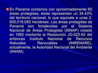 En Panamá contamos con aproximadamente 65 áreas protegidas, éstas representan un 34.43% del territorio nacional, lo que equivale a unas 2, 600,018.050 hectáreas. Las áreas protegidas de Panamá son fortalecidas por el Sistema Nacional de Áreas Protegidas (SINAP) creado en 1992 mediante la Resolución JD-022-92 del entonces Instituto Nacional de Recursos Naturales Renovables (INRENARE), actualmente, la Autoridad Nacional del Ambiente (ANAM). 