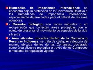Humedales de importancia internacional : se encuentra bajo la protección de la Convención Relativa a los Humedades de Importancia Internacional, especialmente determinadas para el hábitat de las aves acuáticas. •  Corredor biológico : son zonas naturales o en recuperación que conectan áreas protegidas con el objeto de preservar el movimiento de especies de la vida silvestre. •  Área silvestre ubicadas dentro de la Comarca o Reservas Indígenas : se trata de cualquier categoría de manejo ubicada dentro de las Comarcas, declarada como área silvestre protegida a través de los Congresos o mediante la regulación vigente 