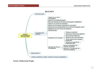 Áreas Protegidas de Bolivia MARÍA ROSARIO CARRASCO PATZI
15
RESUMEN
Fuente. Elaboración Propia
 