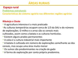 ÁREAS RURAIS
Espaço rural
Problemas estruturais
Características do sistema agrário nas diferentes regiões agrárias

Ribate...
