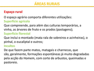 ÁREAS RURAIS
Espaço rural
O espaço agrário comporta diferentes utilizações:
Superfície agrícola
Que compreende, para além ...