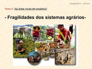 Tema 3: “As áreas rurais em mudança”



- Fragilidades dos sistemas agrários-
 