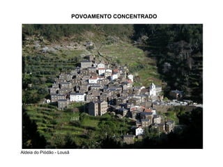 POVOAMENTO CONCENTRADO Aldeia do Piódão - Lousã 