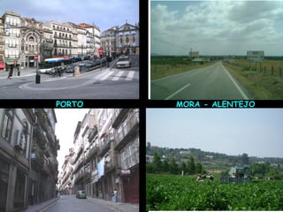 PORTO MORA - ALENTEJO 