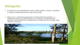 Hidrografia
 Os fundos de vale espalhados por toda a cidade ajudam a manter o equilíbrio
e a água de abastecimento para essas áreas verdes.
 Mesmo com o crescimento populacional e o desenvolvimento econômico, o
londrinense mantém sua relação afetiva com a natureza, consolidando uma
autêntica cultural ambiental, principalmente em relação aos rios, córregos, lagos,
ribeirões e nascentes.
 