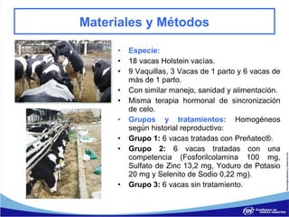 Materiales y Métodos

     •   Especie:
     •   18 vacas Holstein vacías.
     •   9 Vaquillas, 3 Vacas de 1 parto y 6 va...