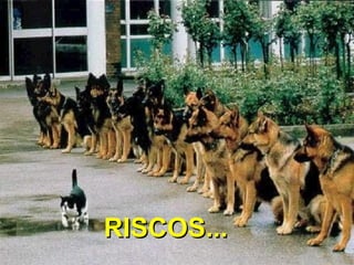 RISCOS... 