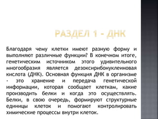 Благодаря чему клетки имеют разную форму и 
выполняют различные функции? В конечном итоге, 
генетическим источником этого удивительного 
многообразия является дезоксирибонуклеиновая 
кислота (ДНК). Основная функция ДНК в организме 
- это хранение и передача генетической 
информации, которая сообщает клеткам, какие 
производить белки и когда это осуществлять. 
Белки, в свою очередь, формируют структурные 
единицы клеток и помогают контролировать 
химические процессы внутри клеток. 
 