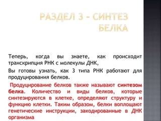 Теперь, когда вы знаете, как происходит 
транскрипция РНК с молекулы ДНК, 
Вы готовы узнать, как 3 типа РНК работают для 
продуцирования белков. 
Продуцирование белков также называют синтезом 
белка. Количество и виды белков, которые 
синтезируются в клетке, определяют структуру и 
функцию клетки. Таким образом, белки воплощают 
генетические инструкции, закодированные в ДНК 
организма 
 
