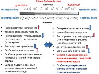 •
•
•

•
•
•

•

Поверхностное натяжение
труднее образовать полость
Растворимость углеводородов
они выпадают из раствора
(агрегируют)
Денатурация протеинов
Стабильность протеинов
Слабо гидратированные мягкие
катионы с низкой плотностью
заряда
Сильно гидратированные
жесткие анионы с высокой
плотностью заряда

•
•
•

•
•
•

•

Поверхностное натяжение
легче образовать полость
Растворимость углеводородов
они внедряются в раствор
(солюбилизируются)
Денатурация протеинов
Стабильность протеинов
Сильно гидратированные
жесткие катионы с высокой
плотностью заряда
Слабо гидратированные
мягкие анионы с низкой
плотностью заряда

 
