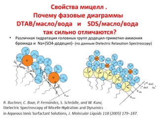 •

Свойства мицелл .
Почему фазовые диаграммы
DTAB/масло/вода и SDS/масло/вода
так сильно отличаются?

Различная гидратация головных групп додецил-триметил-аммония
бромида и Na+(SO4-додецил)- (по данным Dielectric Relaxation Spectroscopy)

 