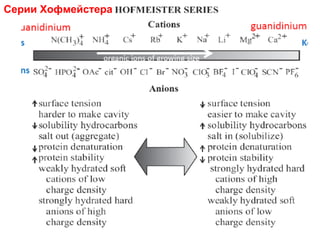 Серии Хофмейстера

 