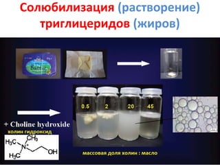 Солюбилизация (растворение)
триглицеридов (жиров)

 