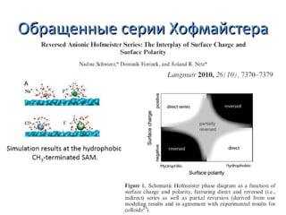 Обращенные серии Хофмайстера

 