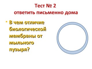 Тест № 2
ответить письменно дома
• В чем отличие
биологической
мембраны от
мыльного
пузыря?

 