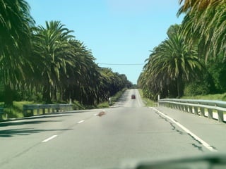 Projeto Malha - REB2014